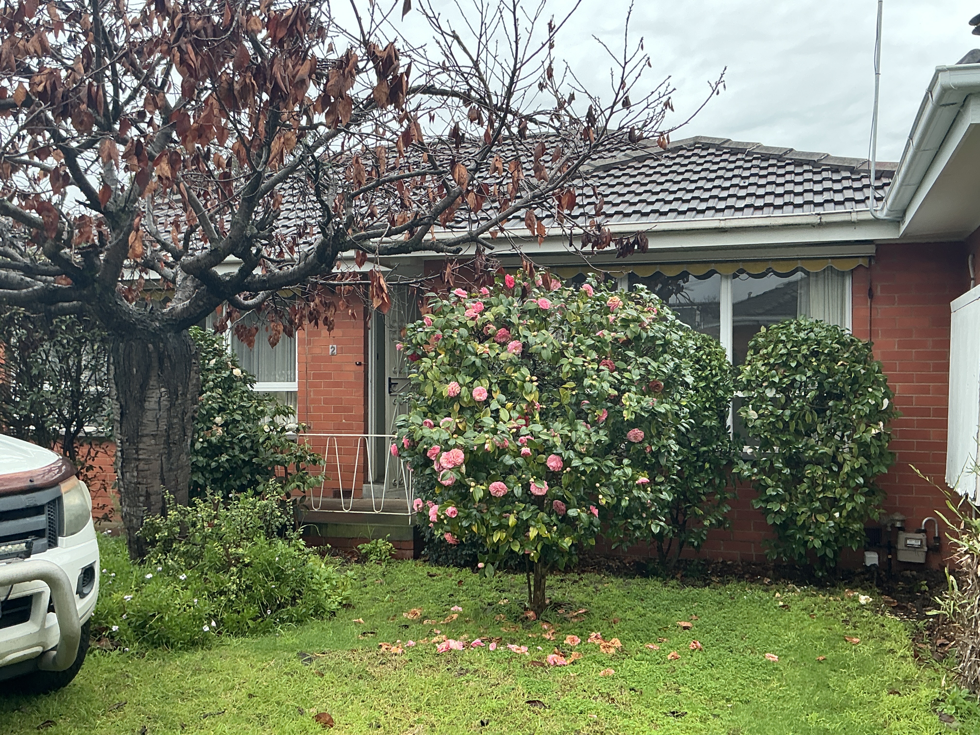2/24 Patty St, Mentone VIC 3194, Australia